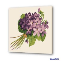 數字油畫  紫羅蘭花束